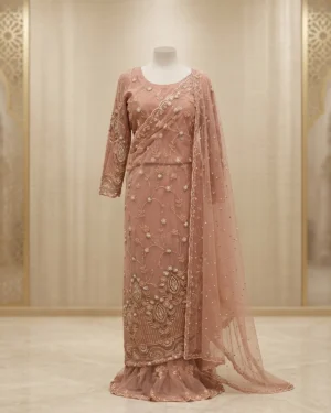Sily Pink Saree